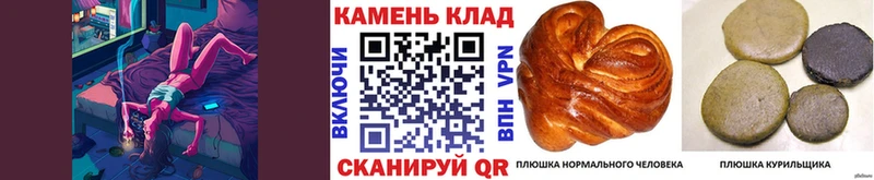 Гашиш Изолятор Пушкино