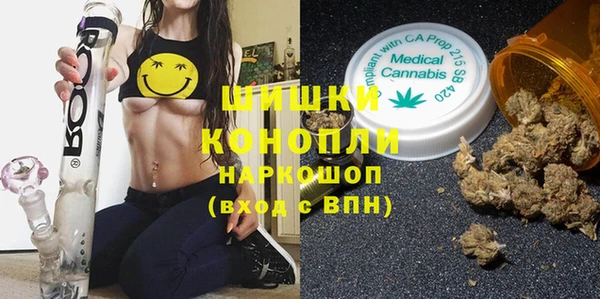молекула духа Костерёво