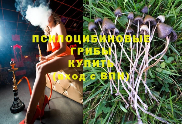 молекула духа Костерёво