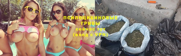 прущая мука Корсаков
