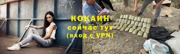 прущая мука Коряжма