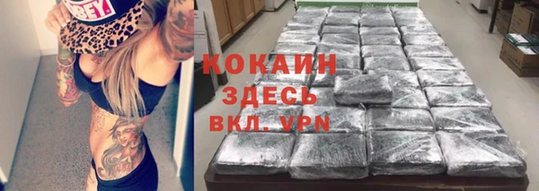 молекула духа Костерёво